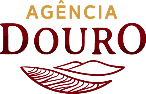 Agência Douro - Mediação Imobiliária AMI 17 632 - Porto