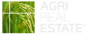 Agri Real Estate - Latina