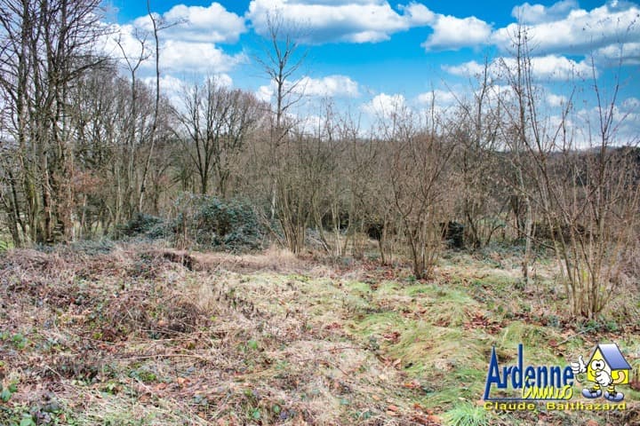 Ardenne Immo - La Roche-en-Ardenne