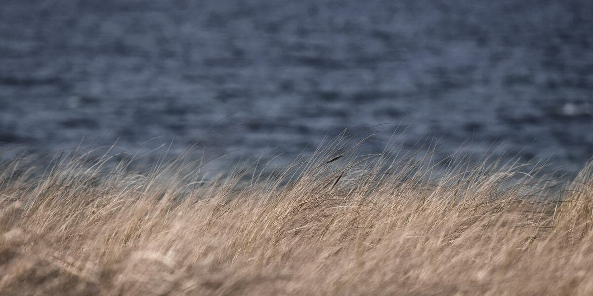 DAHLER Timmendorfer Strand - Timmendorfer Strand