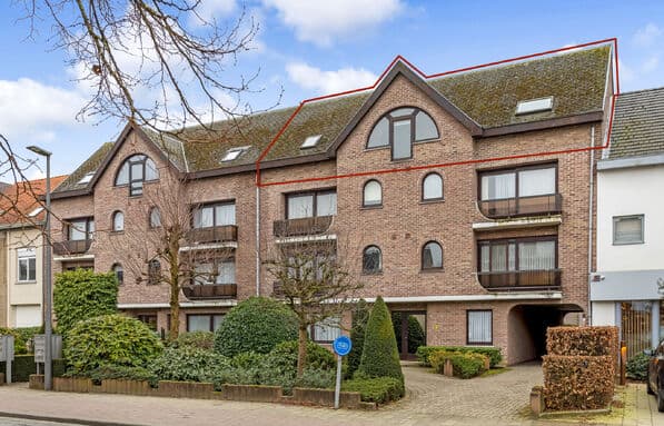 Domestic Makelaars - Mol