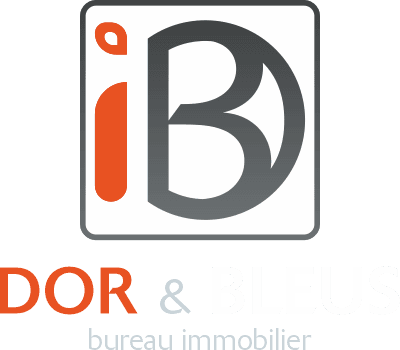 DOR & BLEUS immobilier - Liège