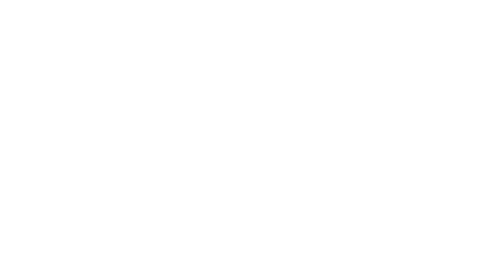 Fenice Immobiliare - Venezia