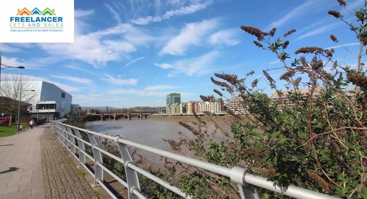 Freelancer Lets and Sales - Estate Agent in Newport - Cardiff