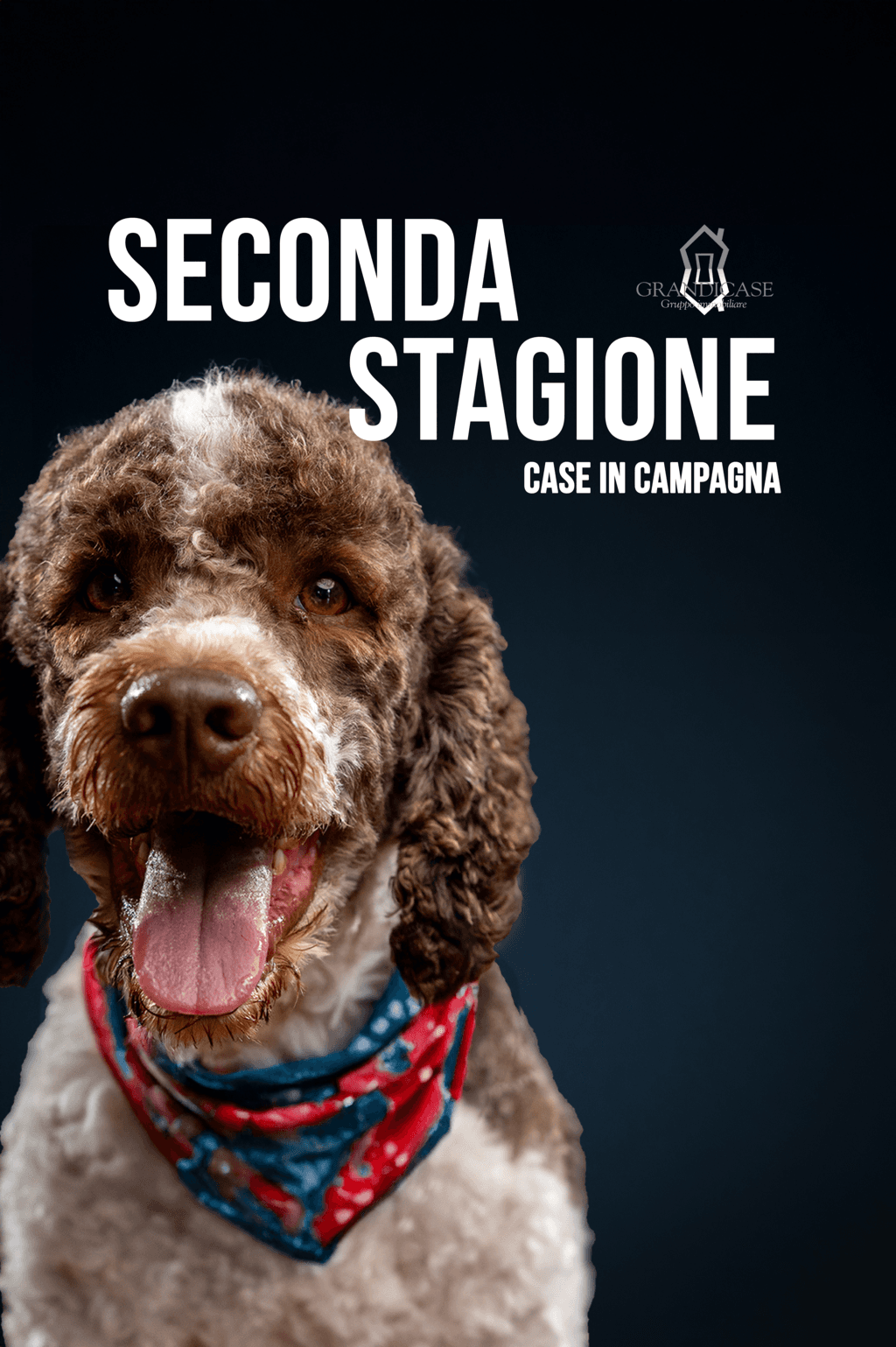 Grandicase, Agenzia Immobiliare San Sebastiano da PO - San Sebastiano Da Po