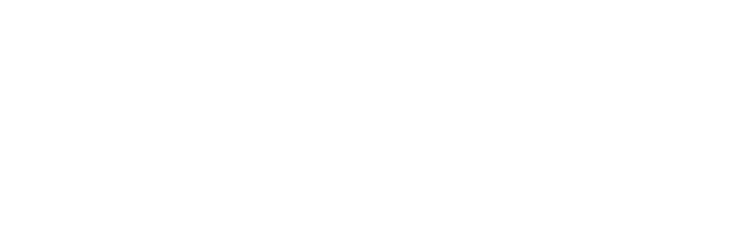 GT Projekt - Borkowo