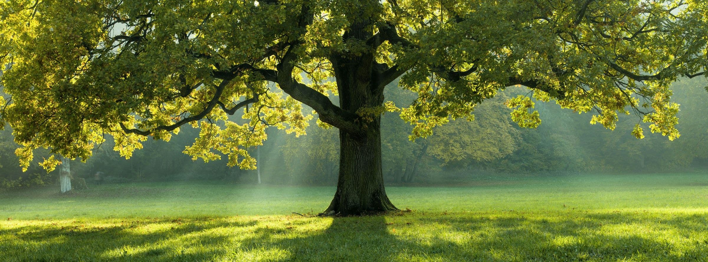 IMMO VILLAGES - Perwez