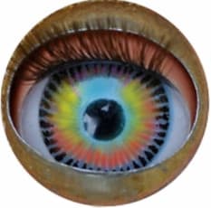 Mon Oeil - Le Raincy