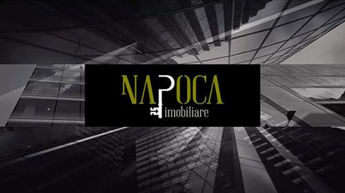Napoca Imobiliare - Cluj-Napoca